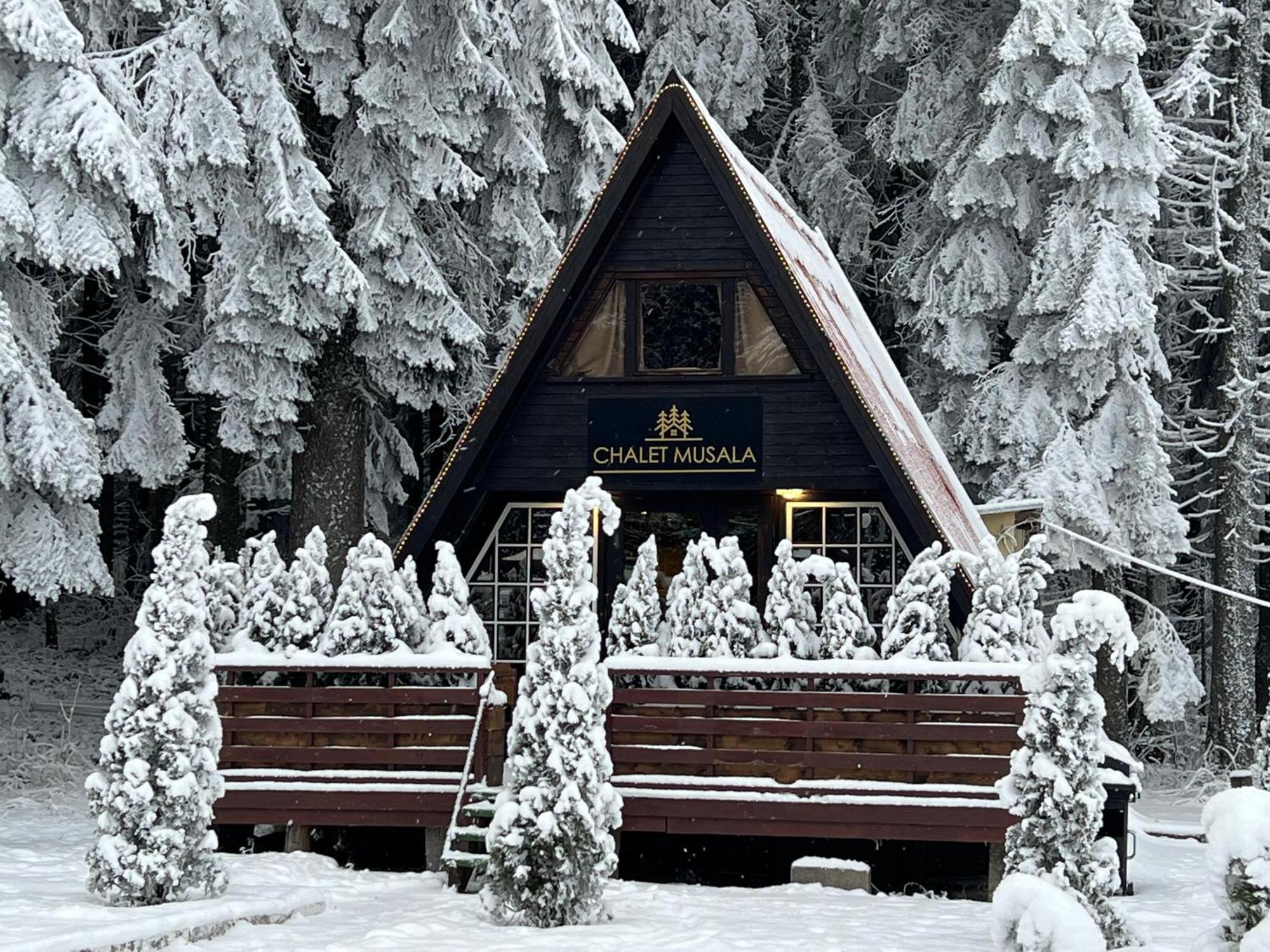 Villas Mura With Spa & Hot Swimming Pool Borovets Exterior photo